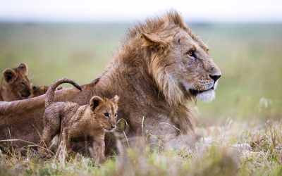 Cost of Living Crisis